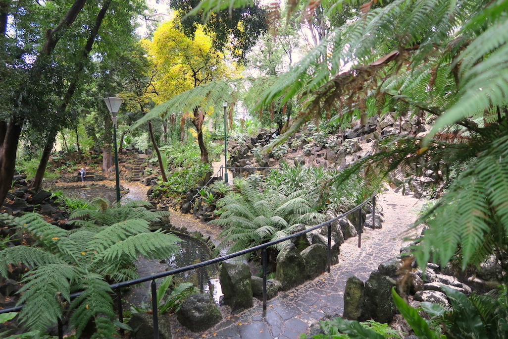 Royal Botanic Gardens waterfall