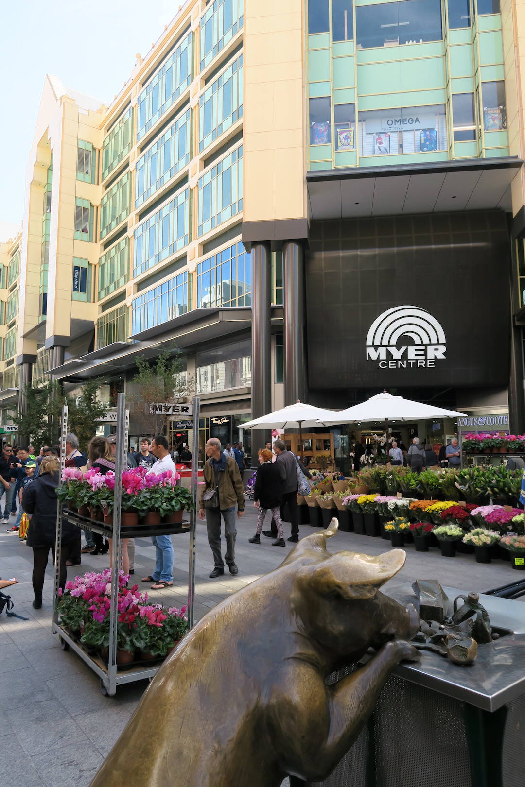 Pigs, Rundle Mall, Myer Centre, Adelaide