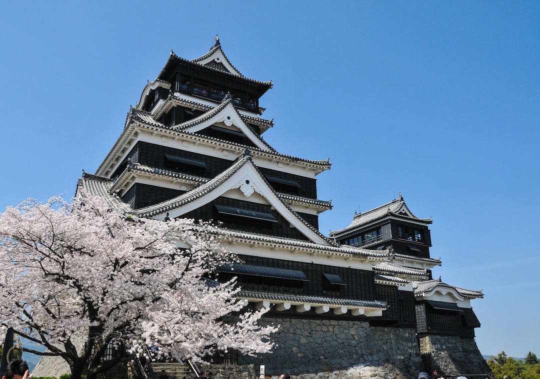bucket list travel destinations, Cherry Blossom, Japan