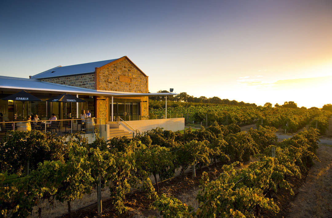 Angove Winemakers, McLaren Vale, South Australia