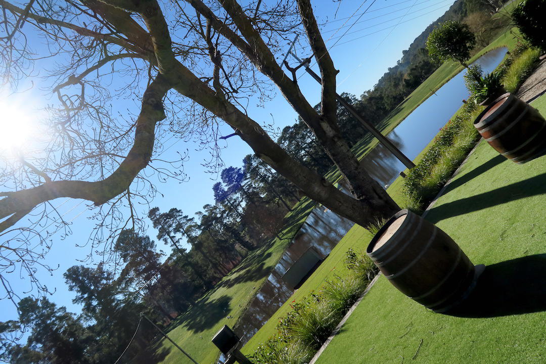 South Australia’s best winery lunch, Maximilian's Restaurant, Sidewood Estate, Verdun, Adelaide Hills