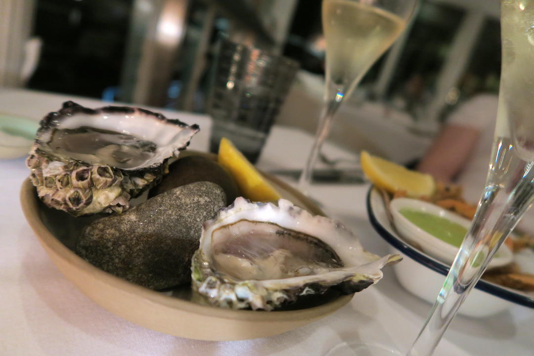 Best places to eat and drink in Noosa, Oysters, Rickys, Noosa, Queensland
