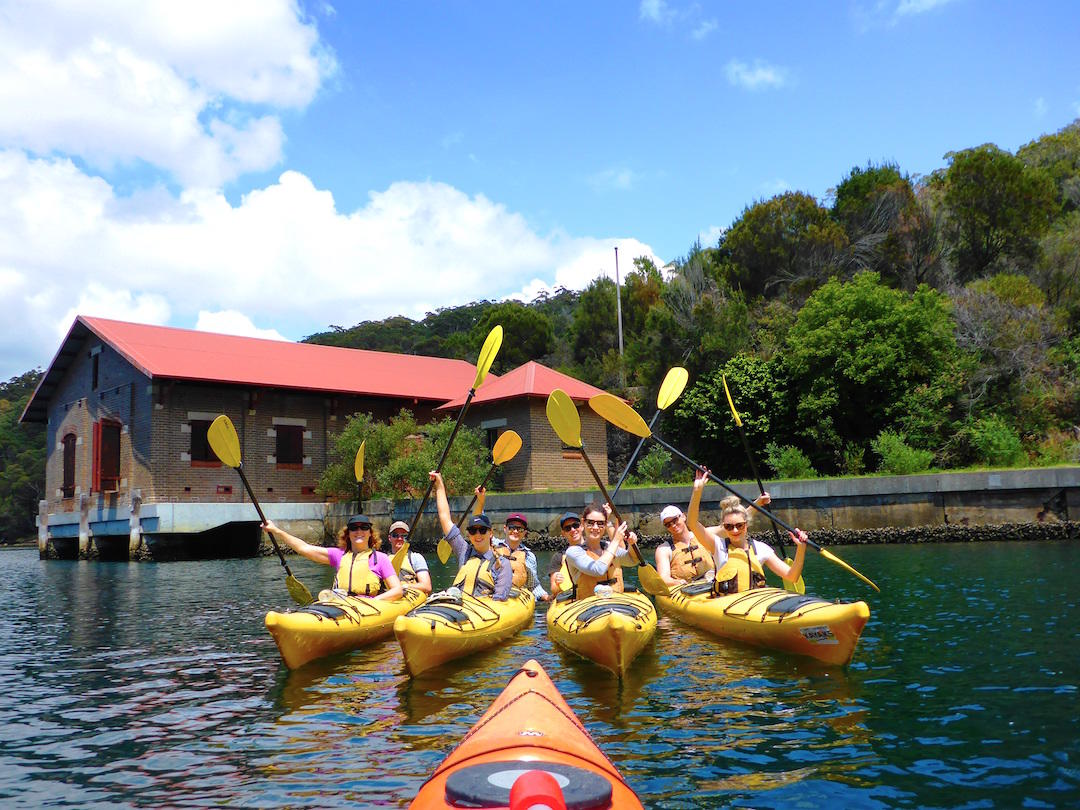 Sydney Harbour Kayaks Middle Harbour Eco Tour