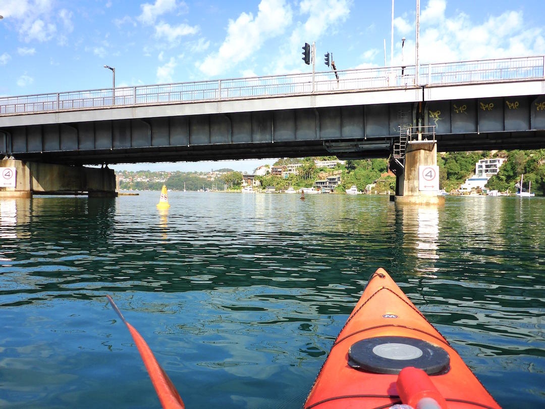 Sydney Harbour Kayaks Middle Harbour Eco Tour