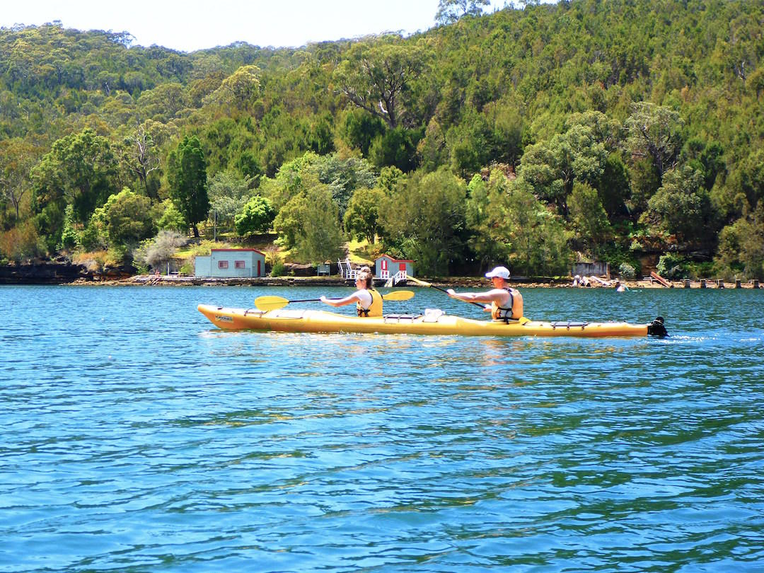 sydney-harbour-kayaks-middle-harbour-eco-tour-8