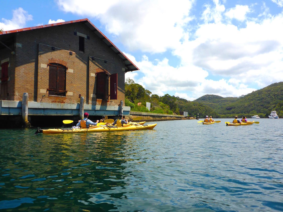 Things to do in Sydney, Sydney Harbour Kayaks Middle Harbour Eco Tour