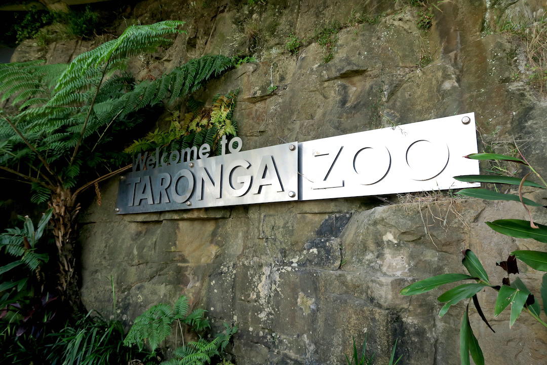 Parents visiting Sydney, Entrance, Taronga Zoo, Sydney, Australia