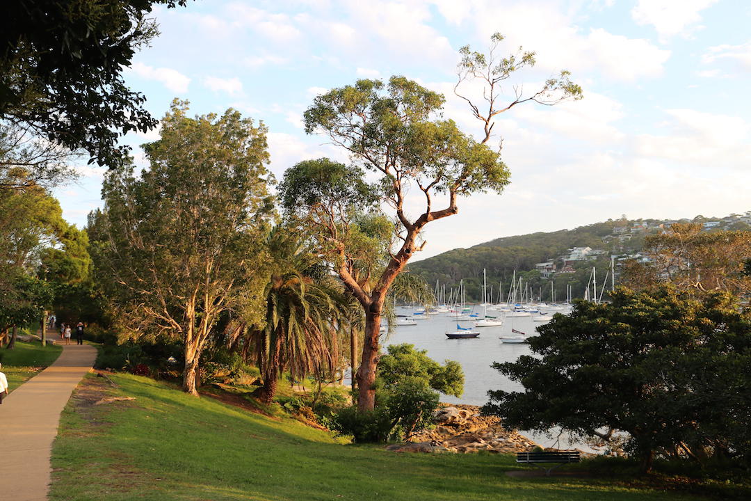 things to do in Sydney, Spit Bridge to Manly Walking Trail, Sydney