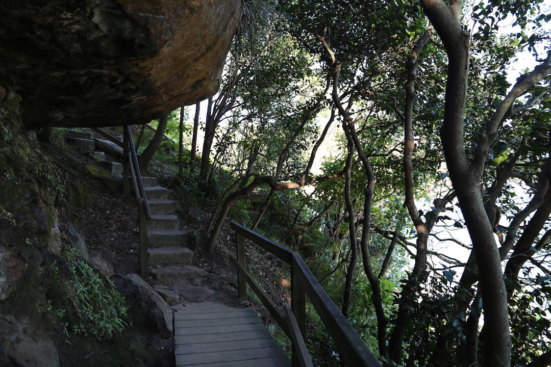 Spit Bridge to Manly Walking Trail, Sydney