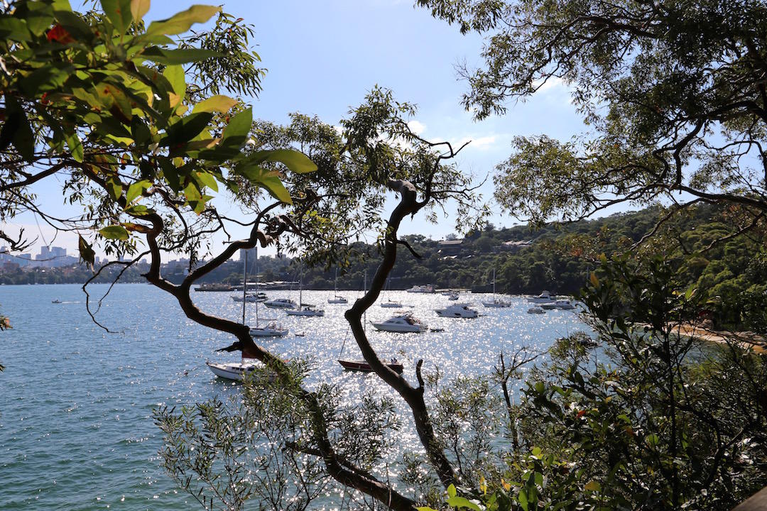 Boats, Sydney Harbour, Taronga to Balmoral walk, Sydney