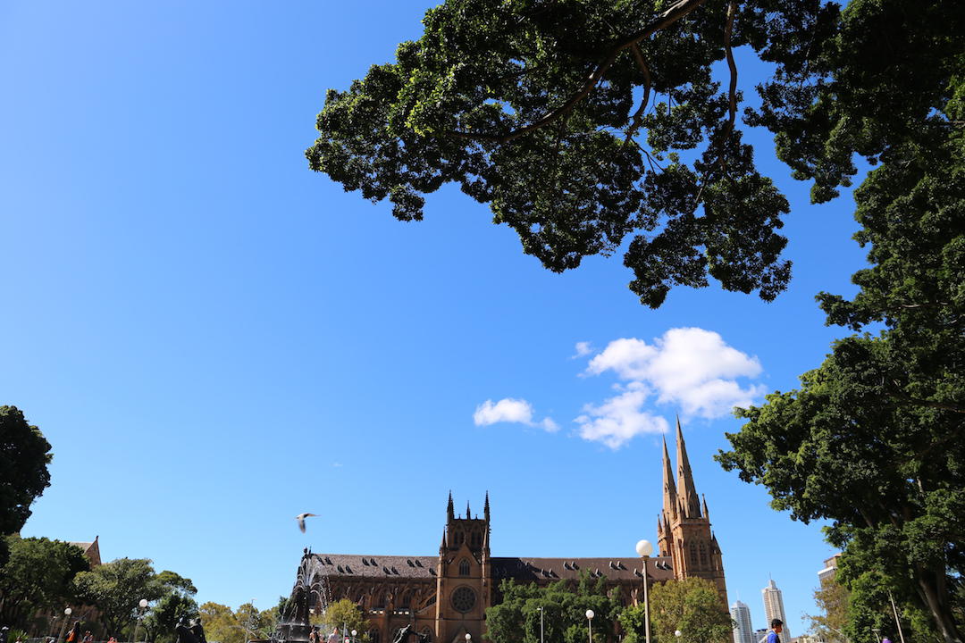 A free walking tour of Sydney, St Mary's Cathedral, Hyde Park, Sydney