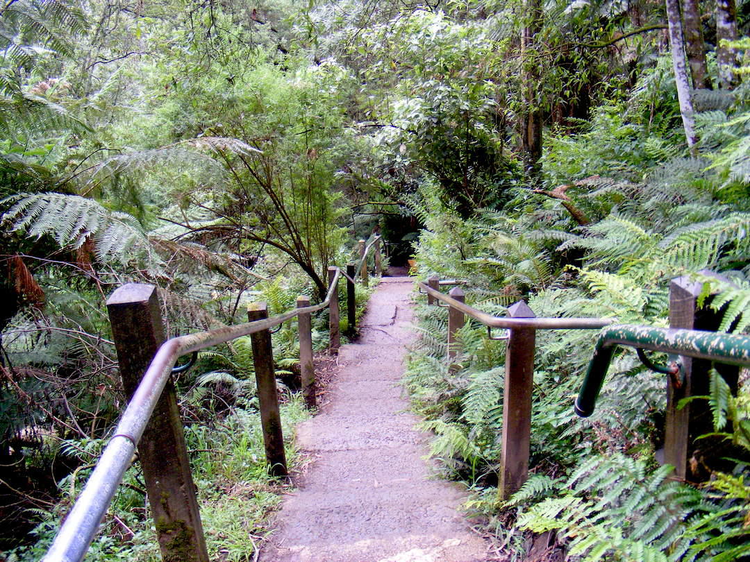 Melbourne date ideas, 1000 Steps, Kokoda Memorial Track, Dandenong Ranges