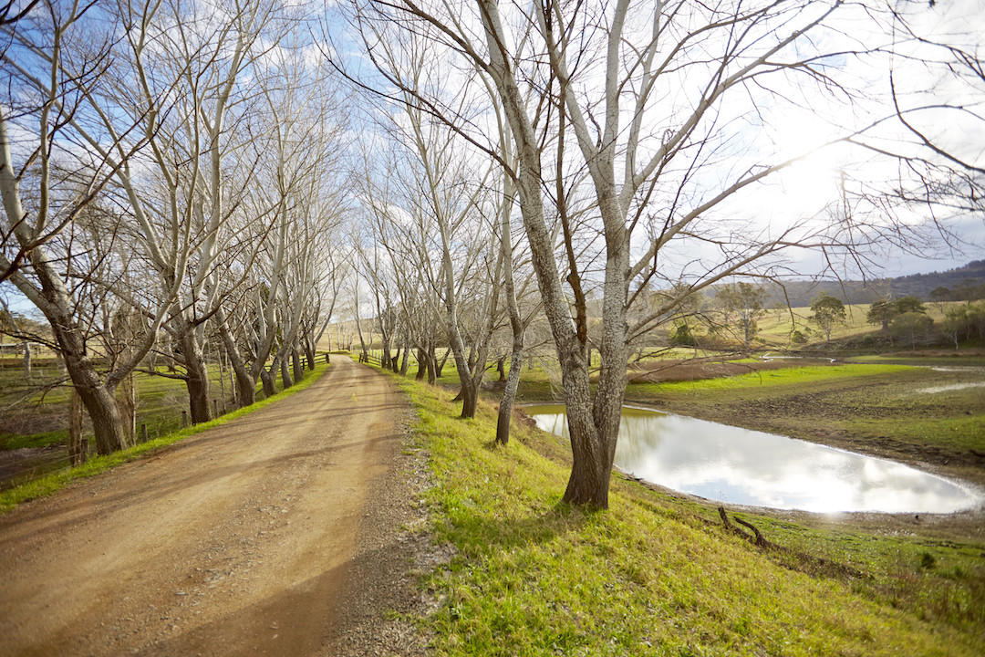 Winter in Sydney, Hunter Valley, New South Wales