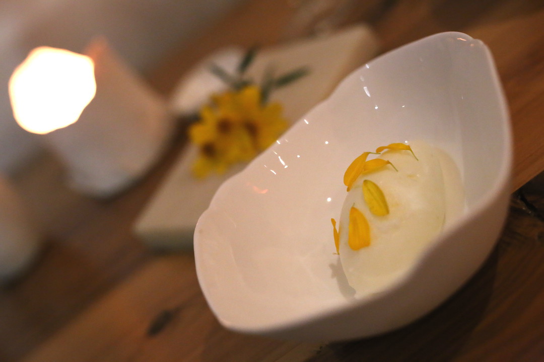 Marigold sorbet, Moxhe seafood restaurant, Bronte, Sydney