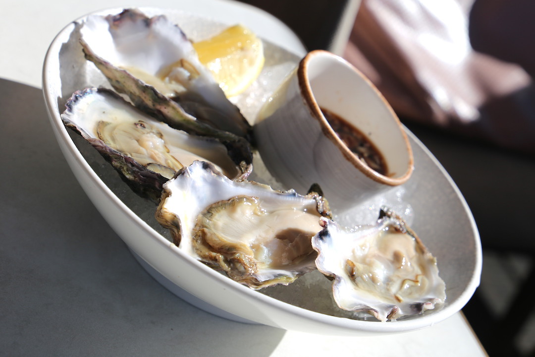 Oysters, Henry Deane, Hotel Palisade, Millers Point, Sydney