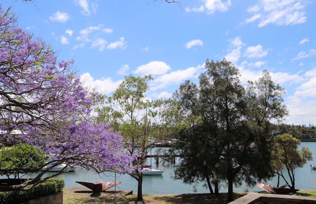 Sydney Harbour, Mort Bay, Balmain, Sydney