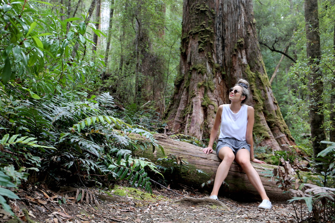 Kim Lamb, Travel Blogger, Tahune Airwalk, Hobart, Tasmania