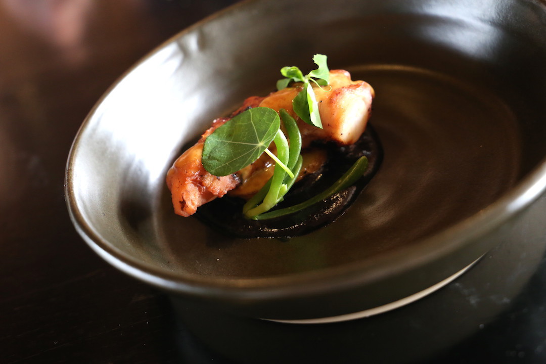 Octopus, Bocca di Lupo, Mitolo Wines, McLaren Vale, South Australia