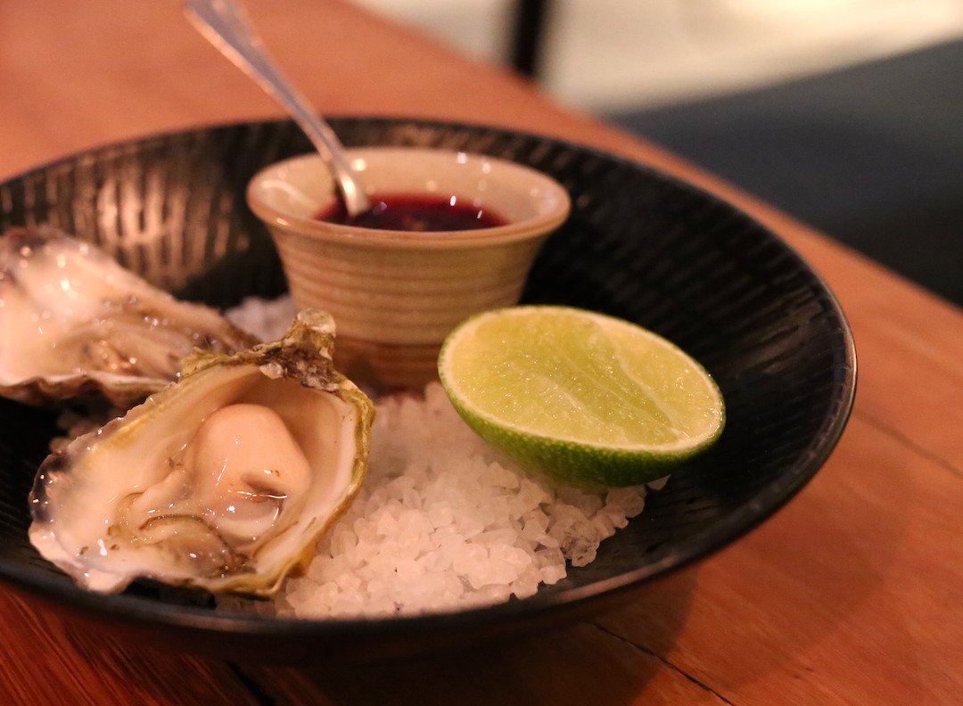 Sydney rock oysters, Panama House, Bondi Beach