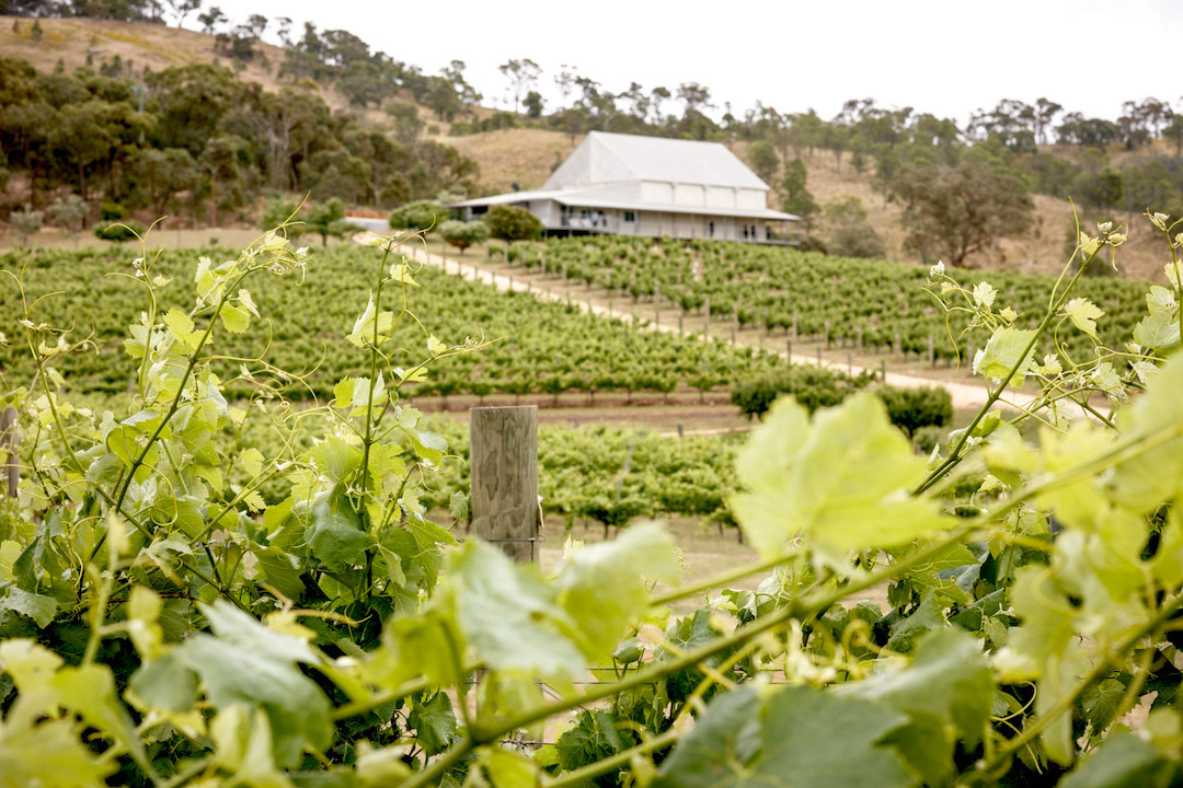 Pyrenees wine region, Ballarat Victoria