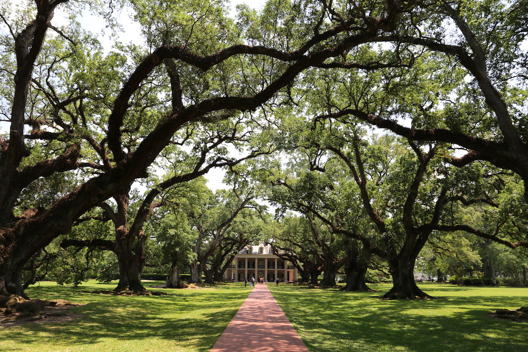 Oak Alley Plantation, New Orleans