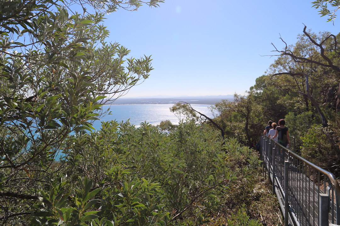 Tomaree Mountain walking trail, Port Stephens, New South Wales