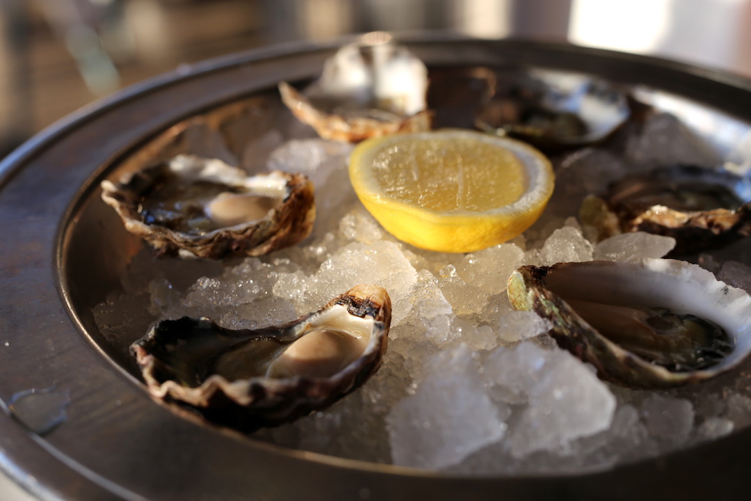 Oysters, Otto Ristorante, Finger Wharf, Woolloomooloo, Sydney