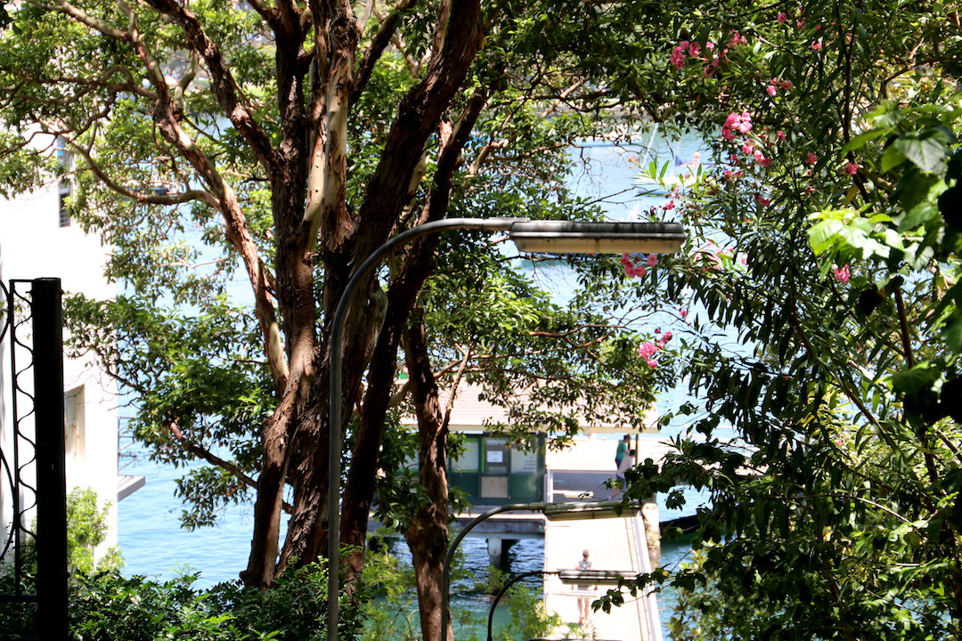 Kurraba Point Ferry Wharf, Lower North Shore, Sydney