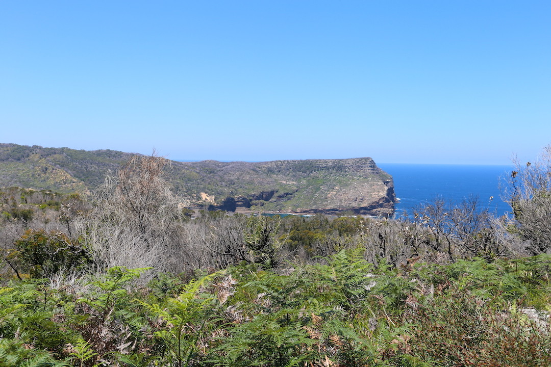 Steamers Head, Steamers Beach walk, Booderee National Park, Jervis Bay, NSW, Australia