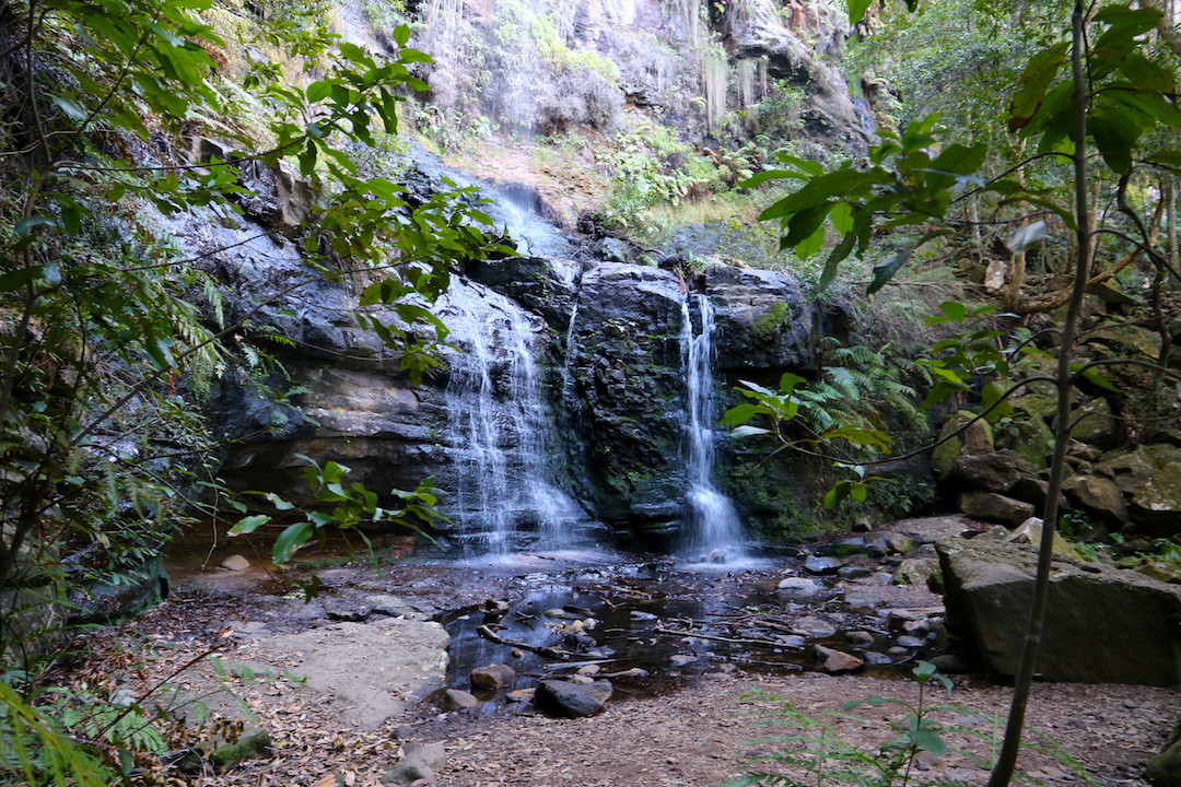 Fairy Bower Falls walking track, Bundanoon, Southern Highlands, NSW