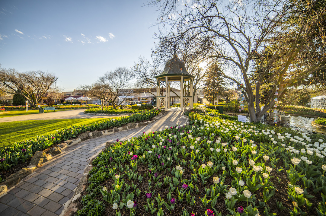 Tulip Time Festival, Bowral, Southern Highlands, NSW